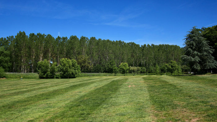 Clémentine & Clément